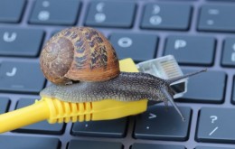 Slow internet speed indicated by a snail on a network cable on a computer keyboard