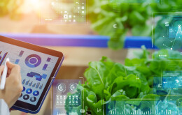 Female engineer working in the vegetable factory and digital technology concept. Industrial internet of things. IIoT. Factory automation. Smart factory.