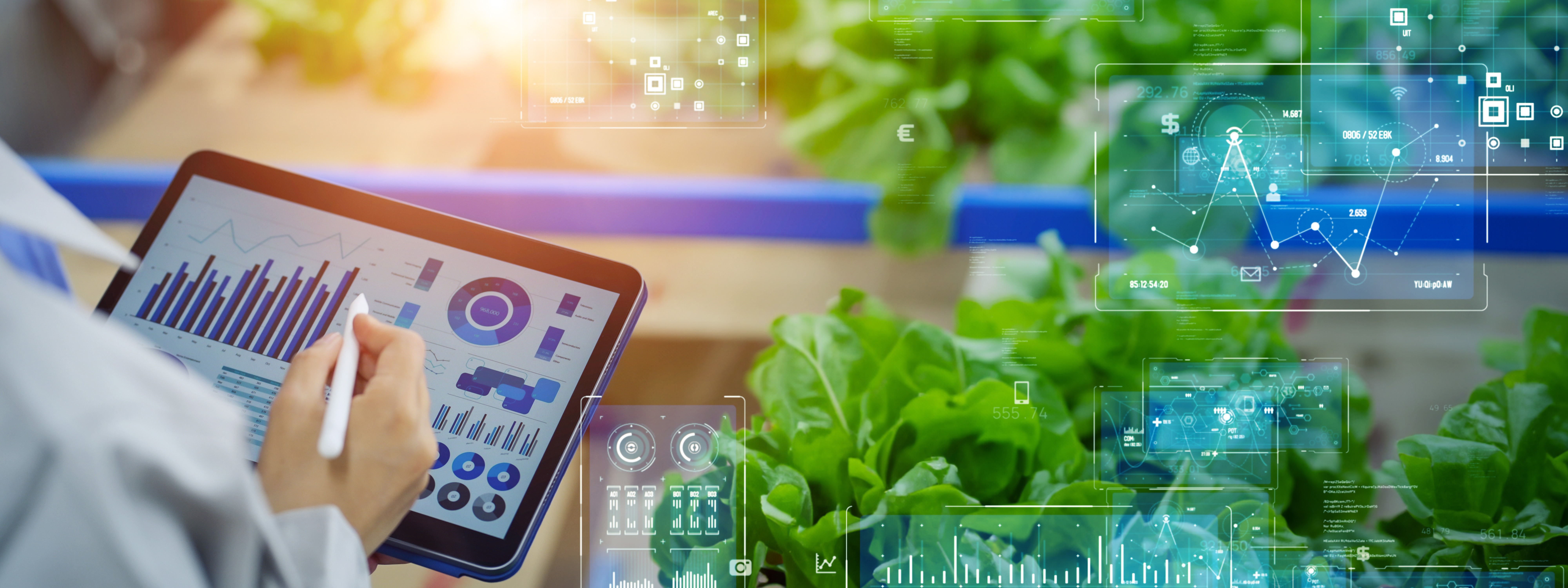 Female engineer working in the vegetable factory and digital technology concept. Industrial internet of things. IIoT. Factory automation. Smart factory.